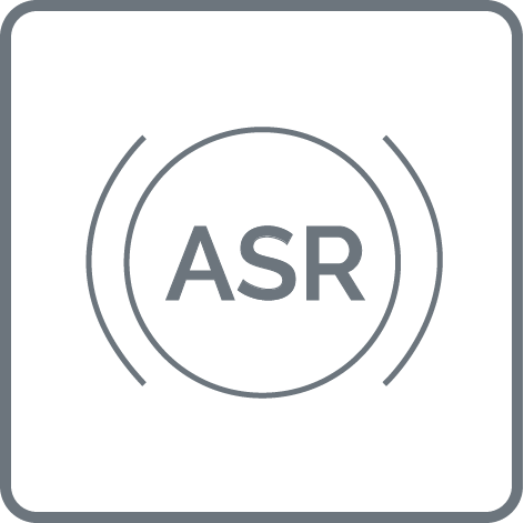 Icon ASR